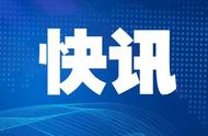 泰国的69.7米长木化石：成为吉尼斯世界纪录的新宠