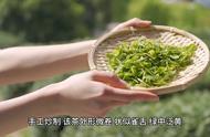 茶叶之旅：中国传统名茶黄山毛峰的魅力