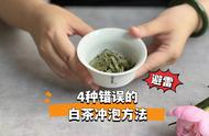 白毫银针泡茶的四大误区及其纠正方法