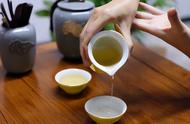 茶叶知识普及：红茶、绿茶、青茶、黑茶的不同之处