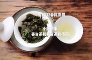 白茶春茶VS秋茶的独特魅力解析