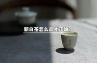 新白茶品鉴指南：6个步骤，新手也能照着学