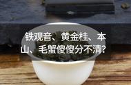 研茶10：铁观音、黄金桂、本山茶、毛蟹茶的识别指南