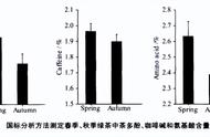 茶的故事：十年喝茶经验中的春茶与秋茶比较