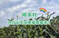 从春茶到冬茶：四季茶叶的喜好趋势分析