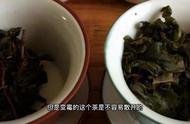 茯砖茶中的金花茶与发霉茶：如何分辨？