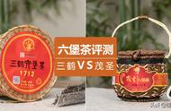 六堡茶两大品牌PK评测：揭示真相，你的选择正确吗？