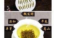 六大茶类探秘：名优黄茶的卓越品质