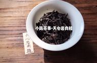 茶叶世界入门：理解黑茶、绿茶、红茶和乌龙茶的独特性