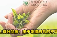 台湾高山茶春茶与冬茶：品味生活的细腻！#茶叶鉴赏