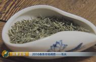 信阳毛尖：爱茶者必须知道的5个关键因素