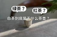 白茶到底属于哪种茶？