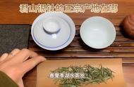 君山银针品鉴：品味茶叶的诗意人生