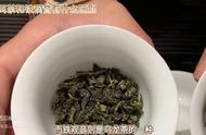 普洱茶与铁观音：一场种类与口感的全面较量