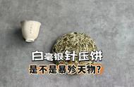 白毫银针为何现在会频繁压饼？