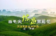 信遇茉莉，奇缘可期？文新2022茉莉毛尖评测即将揭晓