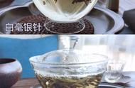 云南大白毫和福鼎白毫银针：茶叶制作工艺的比较