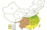 国内四大茶产区及代表名茶—逻辑图（茶叶知识初学者的全面指南）