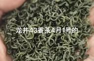 绿茶之“香茶”系列：一次深入的探讨