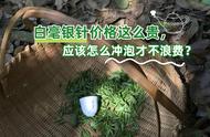 新手泡白茶：白毫银针价格高，如何冲泡才能物超所值？