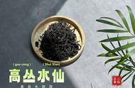 正岩茶的醇厚与细幽：武夷岩茶水仙的独特韵味