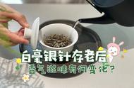 白毫银针的“升值”之道：什么样的茶叶才能越存越“吃香”？