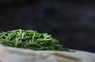 黄芽茶知识普及：黄茶还是绿茶？