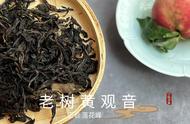 黄观音与老树茶，武夷岩茶的双重享受。