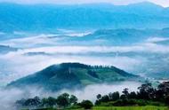 庐山云雾茶：高山云雾，茶的秘密？