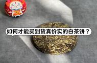 白茶饼购买指南：普通茶客的6个实用技巧