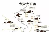 古六大茶山的茶叶世界：茶树分布、普洱茶口感特点大揭秘（收藏）