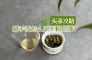 双十一白茶购物宝典：新手入门，如何选对高性价比口粮茶？