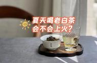 夏季饮茶建议：老白茶的冷泡、热泡和煮茶哪个更适合？