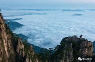 茶乡黄山，毛峰的故事