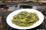 龙井茶的700年传奇：真相大揭秘！