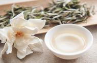 白茶的季节变换：春茶、夏茶、秋茶的味觉盛宴