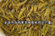 六大茶类中的黄茶新贵——蒙顶黄芽新品上市