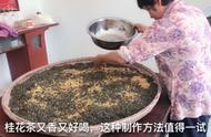 桂花茶制作大解密：从采摘到成茶的每一步骤