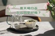 夏日品白茶，遵循“4个原则”，让你的茶生活更舒适