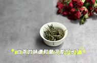 白茶与普洱的关联：新白茶和生普，老白茶和熟普，有何联系？