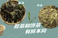 不懂白茶也能成为专家：4招教你选购寿眉散茶和饼茶