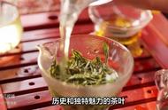 铁观音茶：深入了解茶叶的魅力