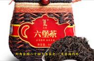 梧州绿宝茶：六堡茶，黑茶的辉煌