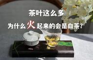 从绿茶到白茶：茶叶市场的变迁与热门茶叶的崛起之路