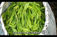 黄山毛峰茶叶：茶文化的深度解读