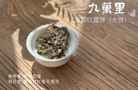 收藏几十饼白茶不失误：关键要点解析