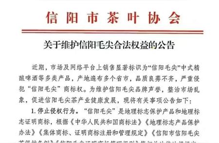 品牌之争！信阳毛尖啤酒侵权事件深度剖析