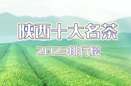 探访陕西茶山宝藏，最新十大名茶盘点来袭！（今日更新）