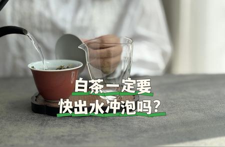 白茶冲泡的奥秘：你真的会泡白茶吗？