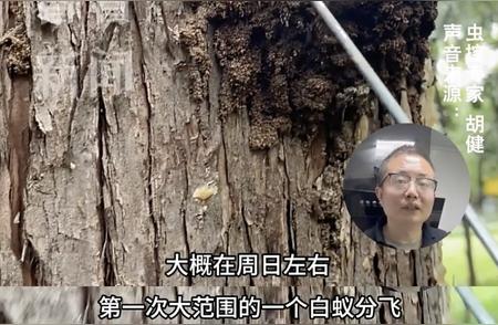 本周末风险加剧，大规模事态爆发前该如何行动？